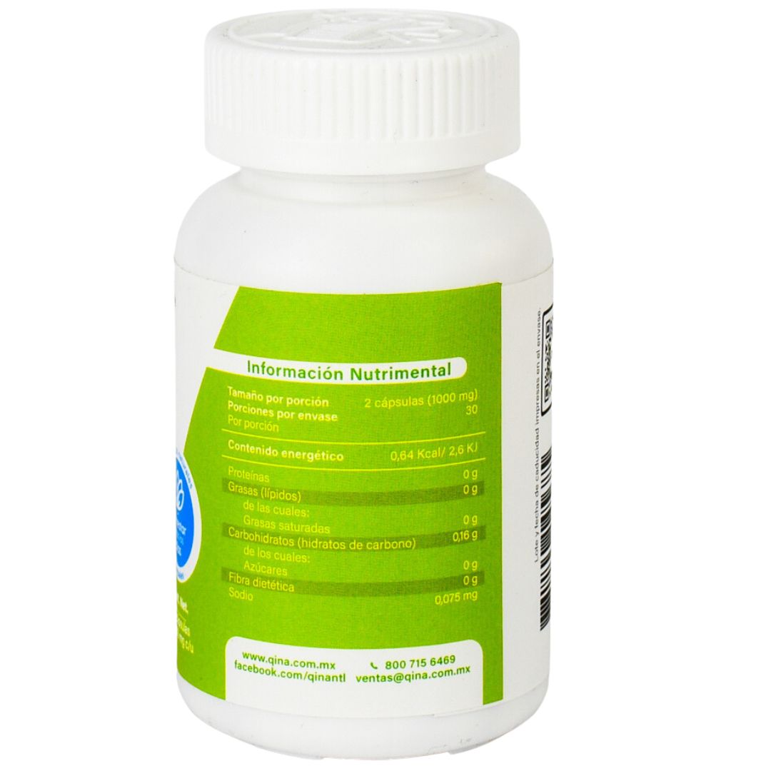 Protaqina 60 capsulas 500 mg c/u